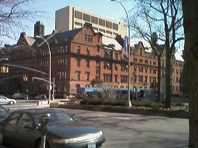 15-03-04_1016.jpg