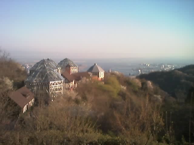 08-04-04_0319.jpg