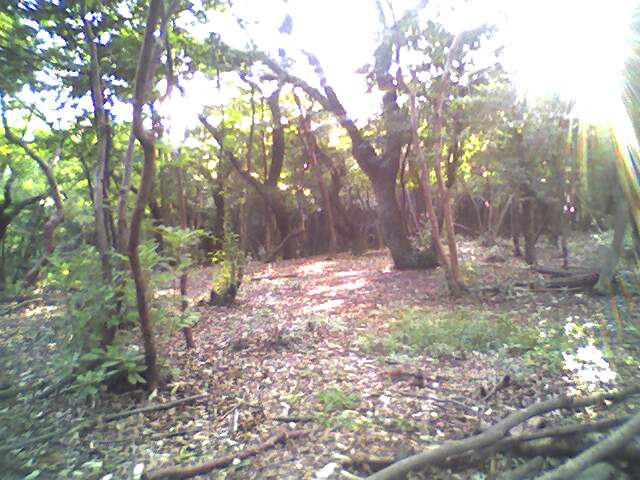 17-09-05_0005003.jpg