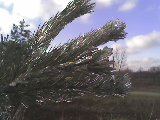 02-12-06_173546_01.jpg