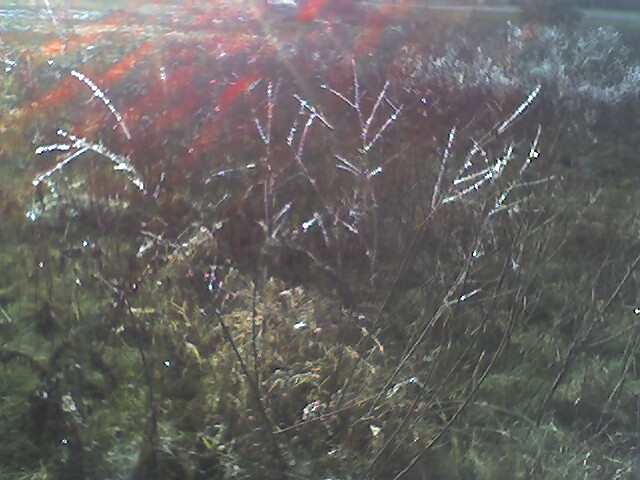02-12-06_173546_02.jpg