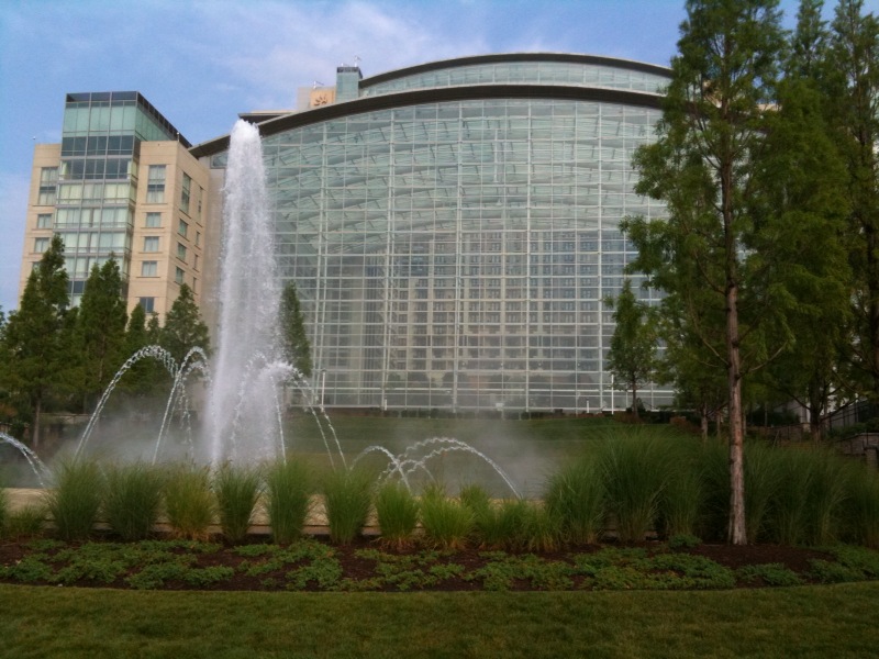 17-07-09_175327_01.jpg