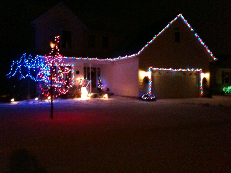 Looks mice with snow