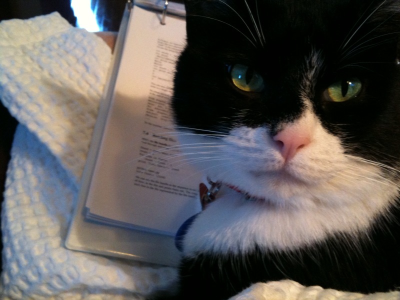 Proof reading with a cat